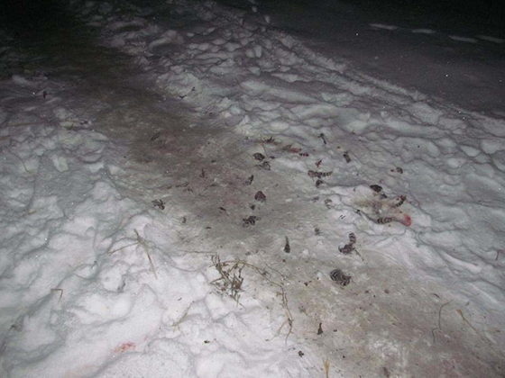 Глава посёлка Куланга в Татарстане застрелил местную жительницу, перепутав её с лисой